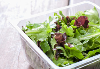 Salata <br> Paketleme